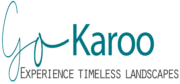 Go Trip Final Logo - karoo