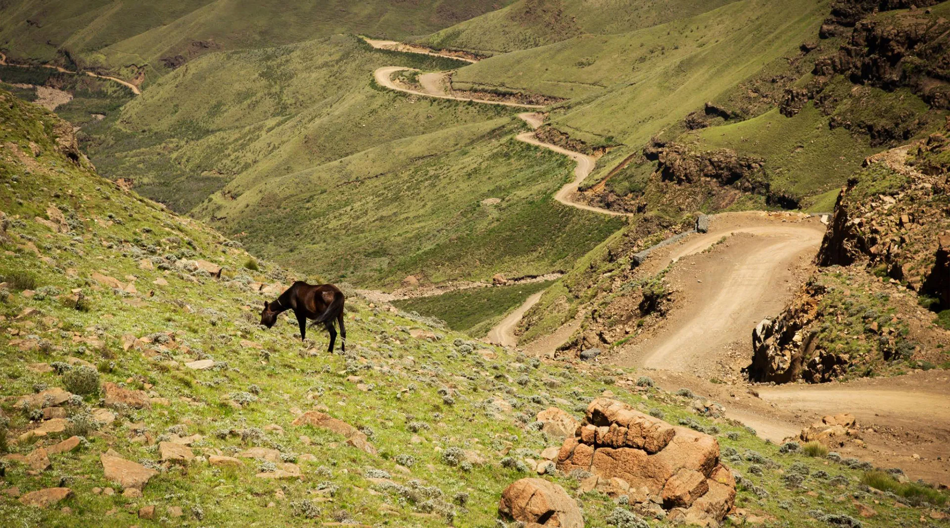 GoTrip-Go-Sani-Pass-Tour GoTrip-Go-Sani-Pass-Tour