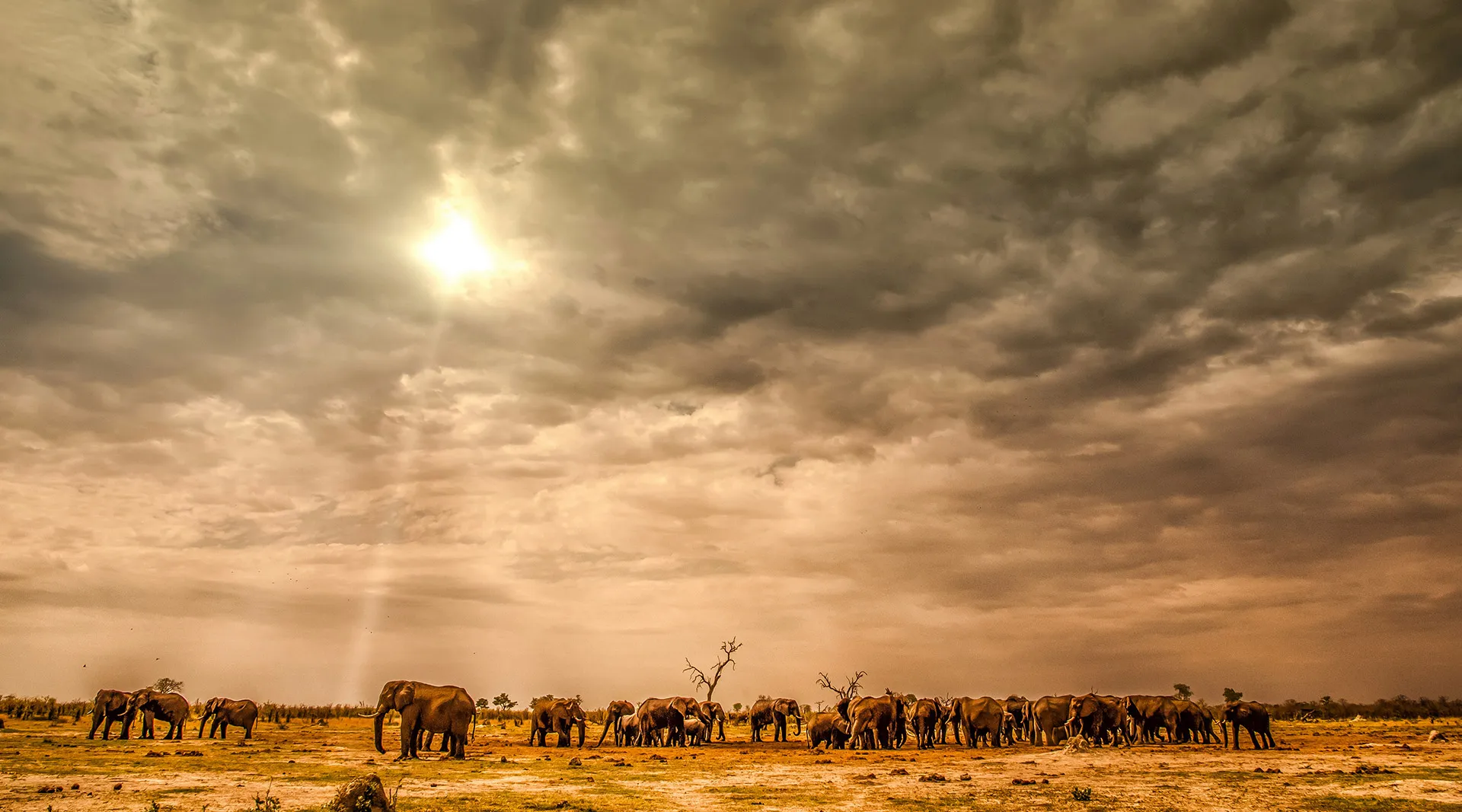 GoTrip-Go-Botswana-Tour-2 GoTrip-Go-Botswana-Tour-2