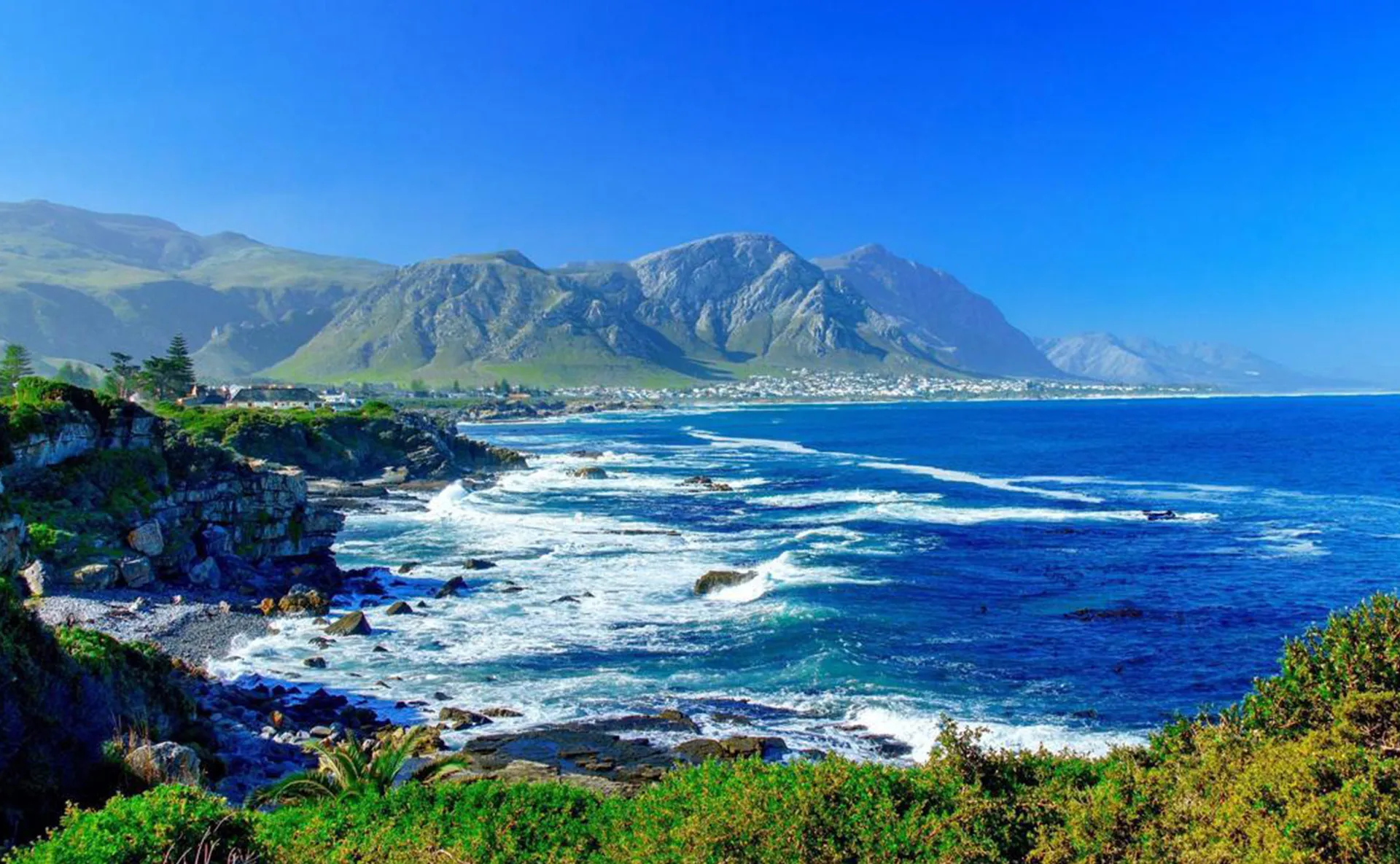 GoTrip-Tours-Hermanus-Tour-7 GoTrip-Tours-Hermanus-Tour-7