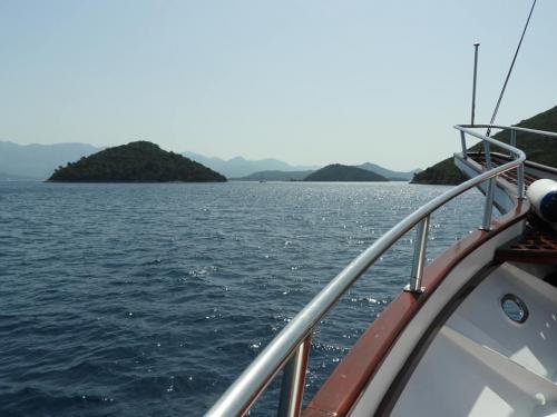 Cruise