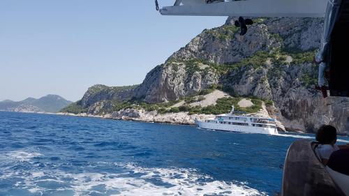 Cruise 2