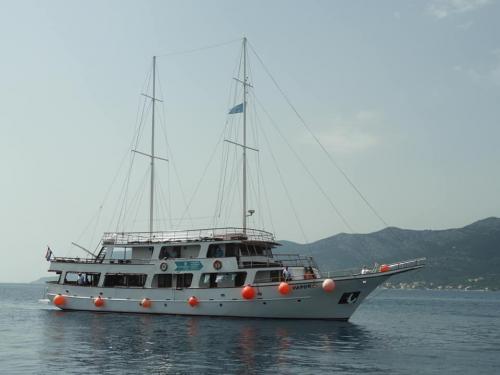 Cruise 3